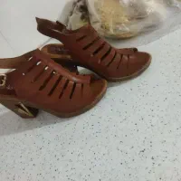 کفش نو شماره 39