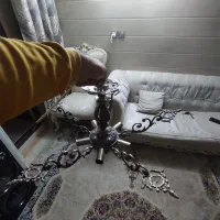 لوسترپنج شاخه