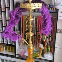 استخدام سری زن قلیان