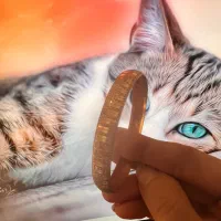 طلا بدون اجرت فقط ۳ درصد|جواهرات|اردبیل, |دیوار