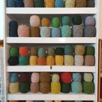 کرک لطیف کره ای ،  نیوزلندی ، مرینوس