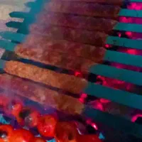 مواد آماده کوبیده و سبزی