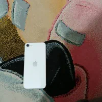 اپل iPhone SE (2020)|موبایل|تهران, اکباتان|دیوار