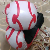 دستکش بوکس اصلی|تجهیزات ورزشی|شیراز, باهنر|دیوار