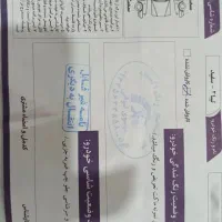 تیبا دو مدل 99|خودرو سواری و وانت|رامهرمز, |دیوار