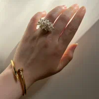 بدلیجات خارجی زیر قیمت