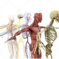 مشاوره کنکور تجربی با بهترین قیمت