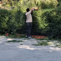 کارشناس ارشد باغبانی و فضای سبز|خدمات باغبانی و درختکاری|تهران, شاهین|دیوار