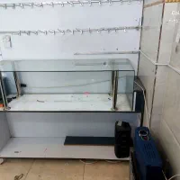 ویترین و لوازم مغازه