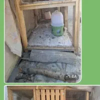 قفس دوطبقه|لوازم جانبی حیوانات|لنجان, |دیوار