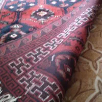 قالی دست بافت محلی|فرش|شوشتر, |دیوار