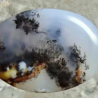 سنگ شجر اصل