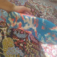 کفش صالن نونو بدون استفاده شدن|کیف، کفش، کمربند|کرمان, |دیوار