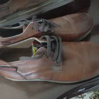 کفش Caterpillar|کیف، کفش، کمربند|نورآباد, |دیوار