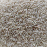 برنج عنبر بو الک و سورت شده درجه یک|خوردنی و آشامیدنی|اردبیل, |دیوار