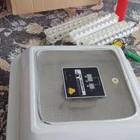 دستگاه جوجه کشی اتوماتیک