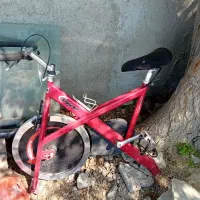 دوچرخه ثابت