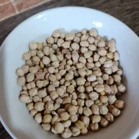 نخود با کیفیت