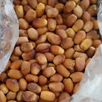 انواع خرما عمده|خوردنی و آشامیدنی|دیواندره, |دیوار