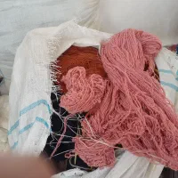 فرش هریس(سالاری)|فرش|مشگین شهر, |دیوار