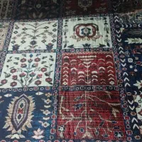 قالیچه|فرش|اهواز, کوروش|دیوار