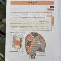 پک کامل کتاب علوم پایه پزشکی پروگنوز۱۴۰۴(نو نو)|کتاب و مجله آموزشی|تهران, مرزداران|دیوار