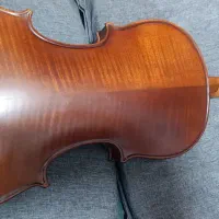 ویولون|ویولن|بندر ماهشهر, |دیوار