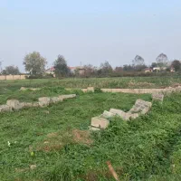 فروش زمین ۲۲۰ متر پشت فرودگاه|فروش زمین و ملک کلنگی|رشت, کوی یخ|دیوار