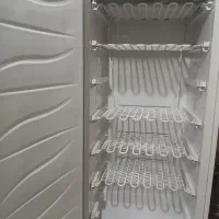 فریزه رویه صدفی