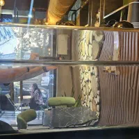 دستگاه اسپرسو دالاکورته ۳گروپ|کافیشاپ و رستوران|کرج, اتحاد|دیوار