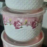 ظرف غذا سرامیکی نو فریزری