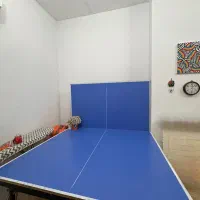 میز پینگ پنگ / تنیس روی میز