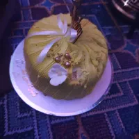 سالن دار سفارش گیر برای باغ رستوران/یک کمک آشپز