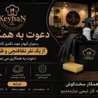 استخدام فقط نیروی خدمات