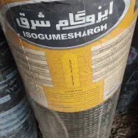 ایزوگام