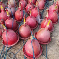 آبخوری نیمه اتوماتیک پرندگان