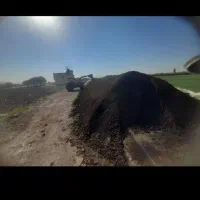 کود گاوی   و اسبی   چنتا  دارم