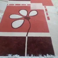 فرش ۶ متری|فرش|مشهد, تربیت (صدف)|دیوار