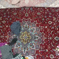 فرش ۱۲ متری ۷۰۰ شانه