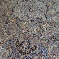 فرش 12متری 700شانه تراکم 2550 ضخیم پرتراکم حدنو|فرش|هشتگرد, هشتگرد قدیم|دیوار