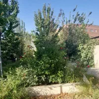 باغچه-شهراباد-بومهن-225-متر