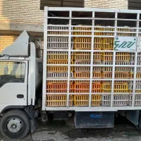 ایسوزو ۶ تن