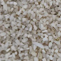 ریزه برنج هاشمی مستقیم از کارخانه|عمدهفروشی|پرهسر, |دیوار