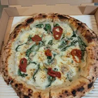 ناپولیتن کار حرفه ای ساکن آمل