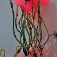 ریسه لامپ اجاره