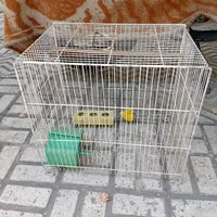قفس پرنده و قفس خوکچه هندی