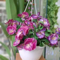 انواع گل و گلدان و درختچه مصنوعی