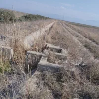 زمین|اجارهٔ دفتر صنعتی، کشاورزی، تجاری|گنبد کاووس, |دیوار