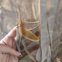 پرده آشپزخونه و اتاق و پذیرایی