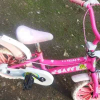 دوچرخه دخترانه اصله ترکیه|دوچرخه، اسکیت، اسکوتر|رشت, دباغیان|دیوار